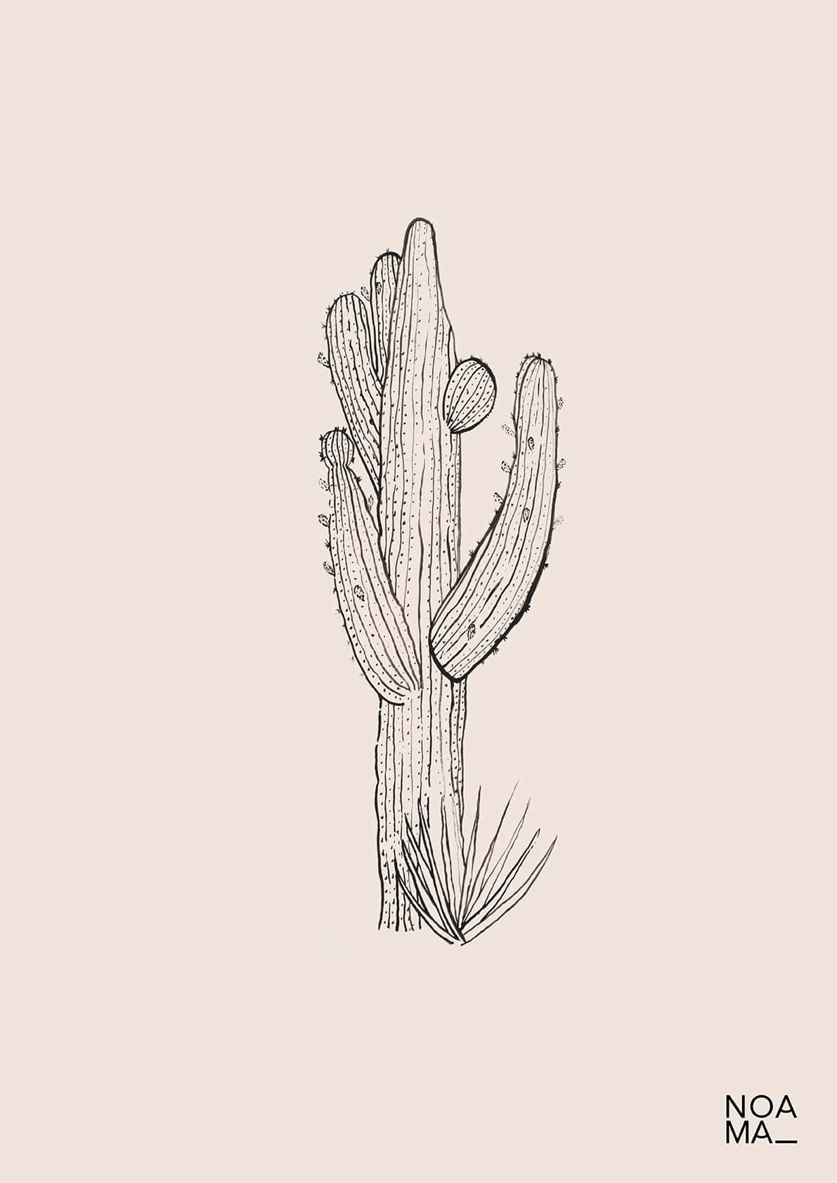 Cactus Framed