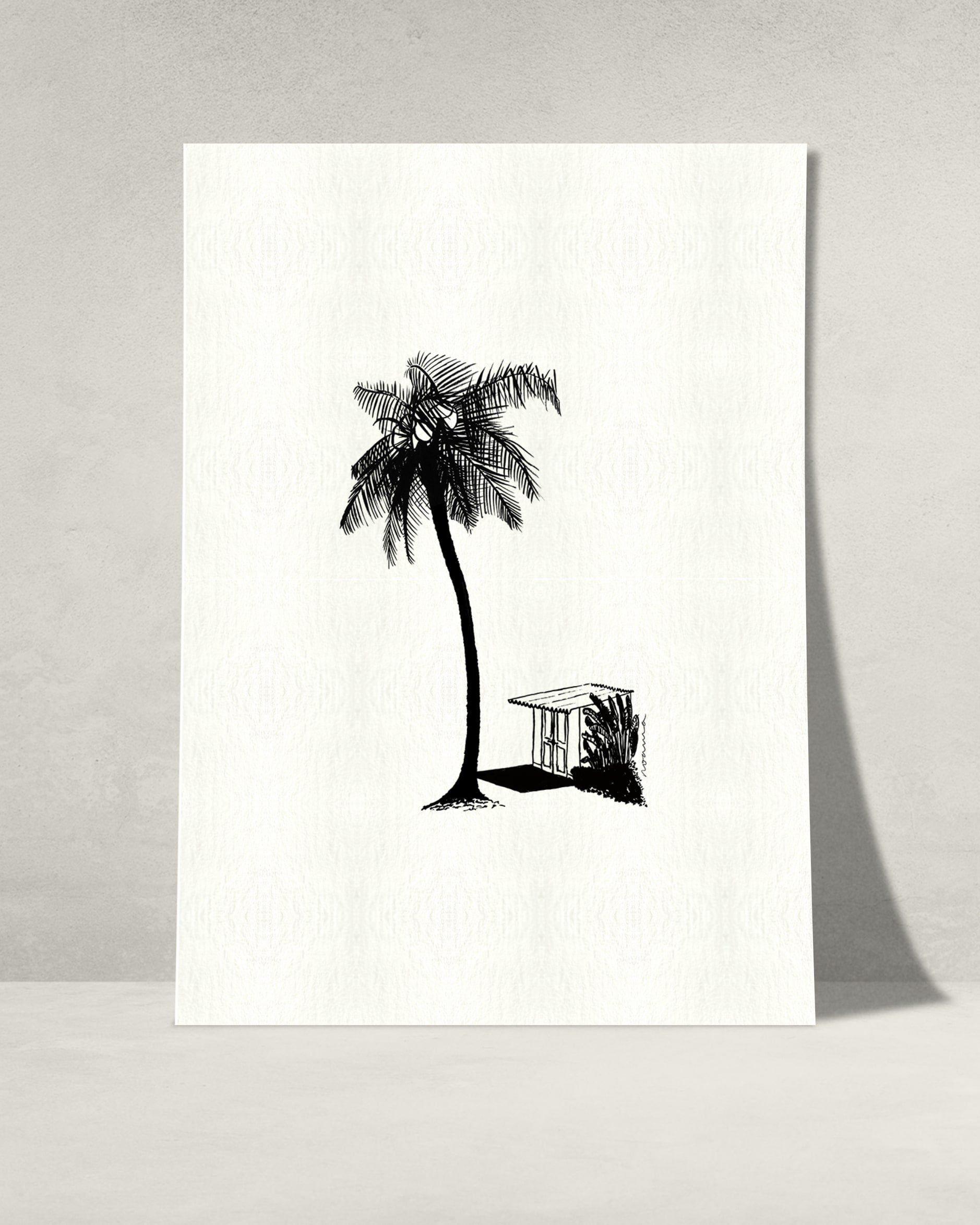 The King Coconut Tree & The Shed